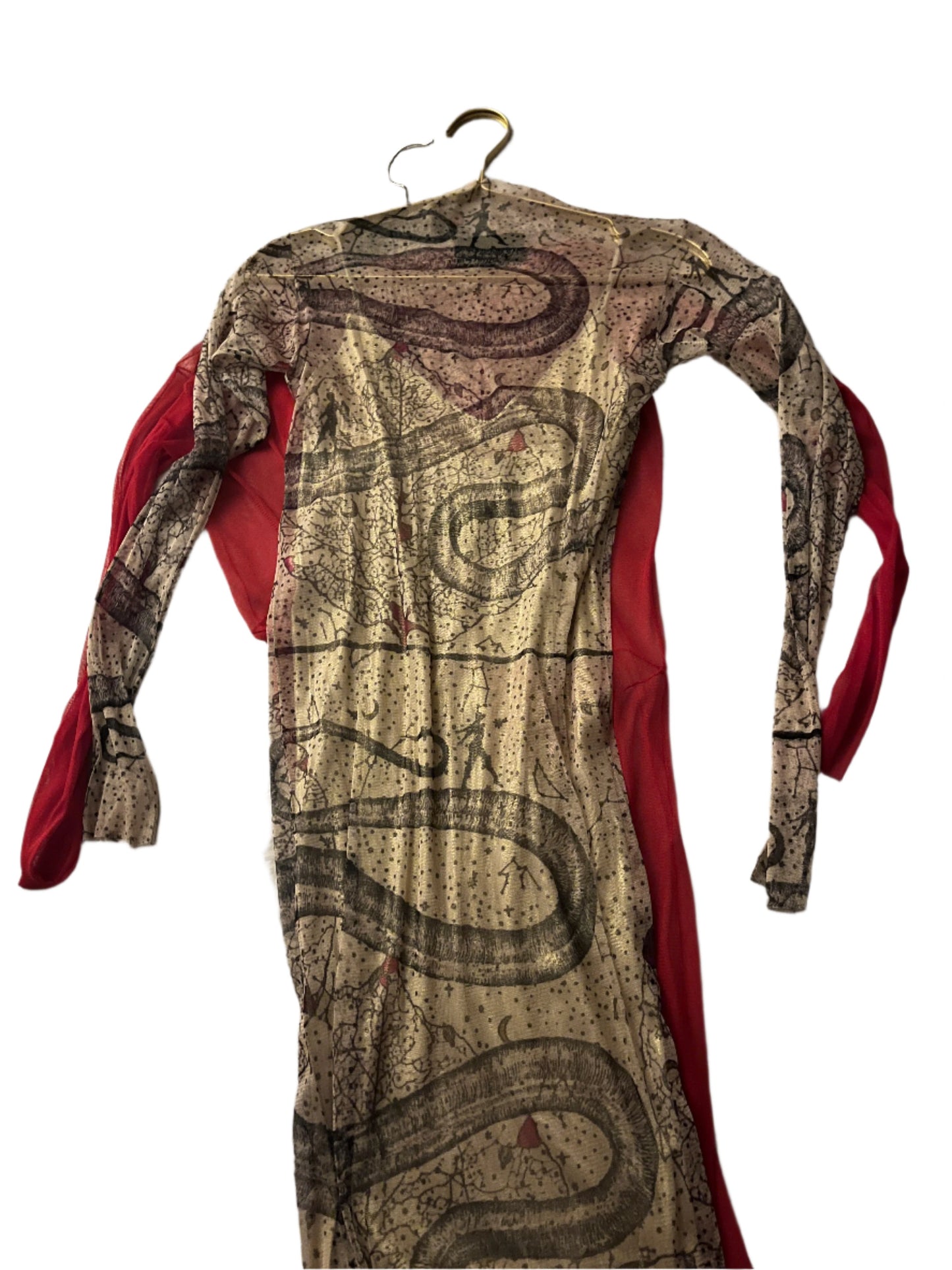 Eva Garden of Eden Limited Edition printed silk mesh midi dress