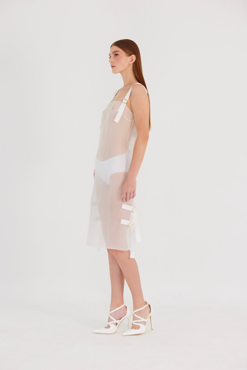 Silk Organza Midi dress