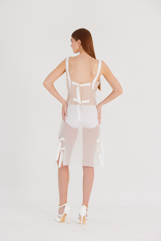 Silk Organza Midi dress