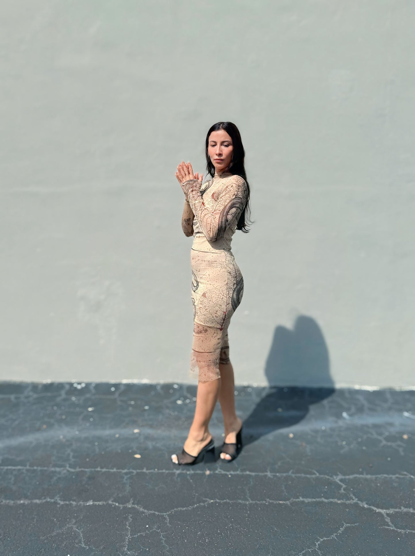Eva Garden of Eden Limited Edition printed silk mesh midi dress