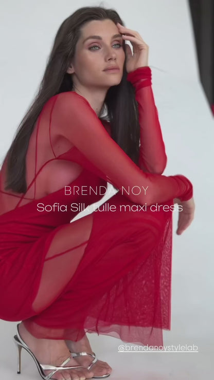 Sofia silk mesh maxi dress