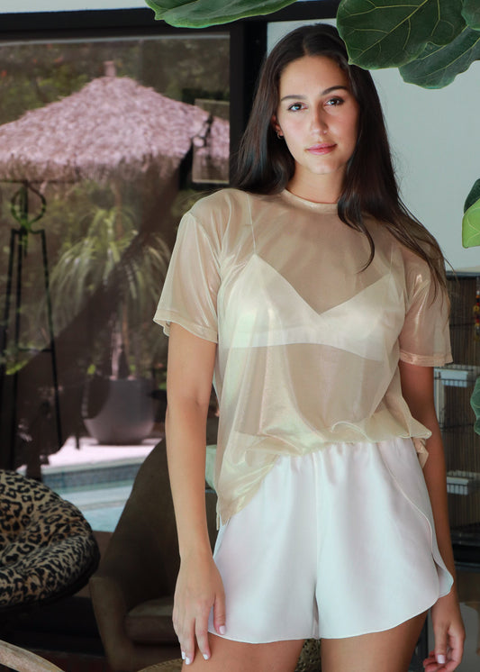 Scheana Gold Mesh Top